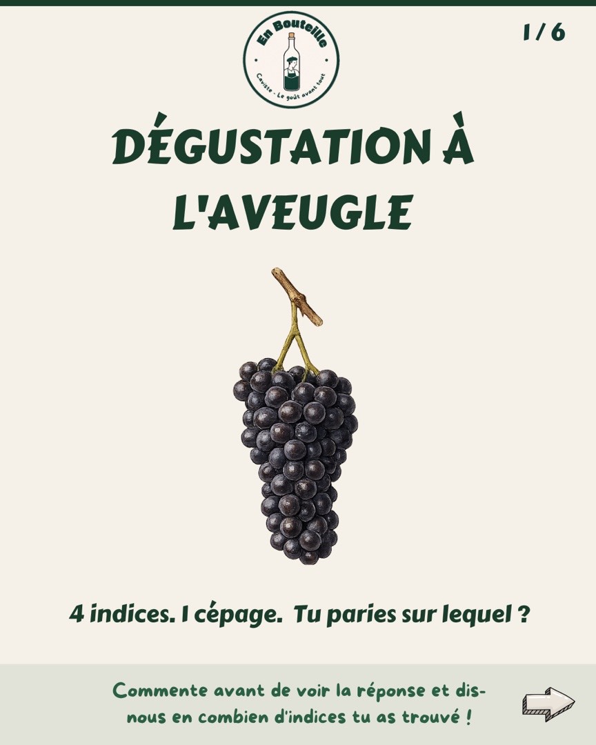 Post Instagram En Bouteille — dégustation à l'aveugle