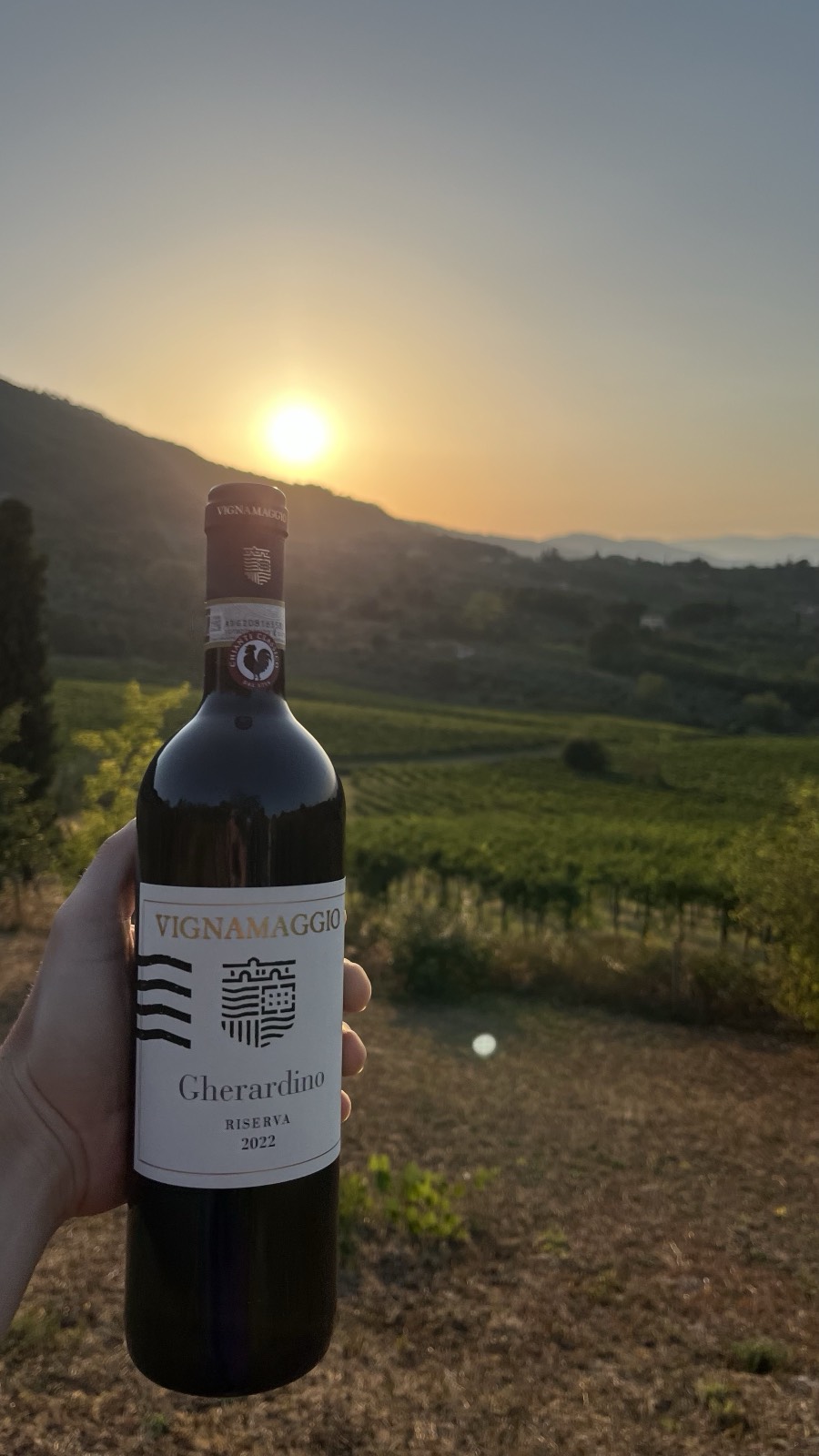 Vins de caractère